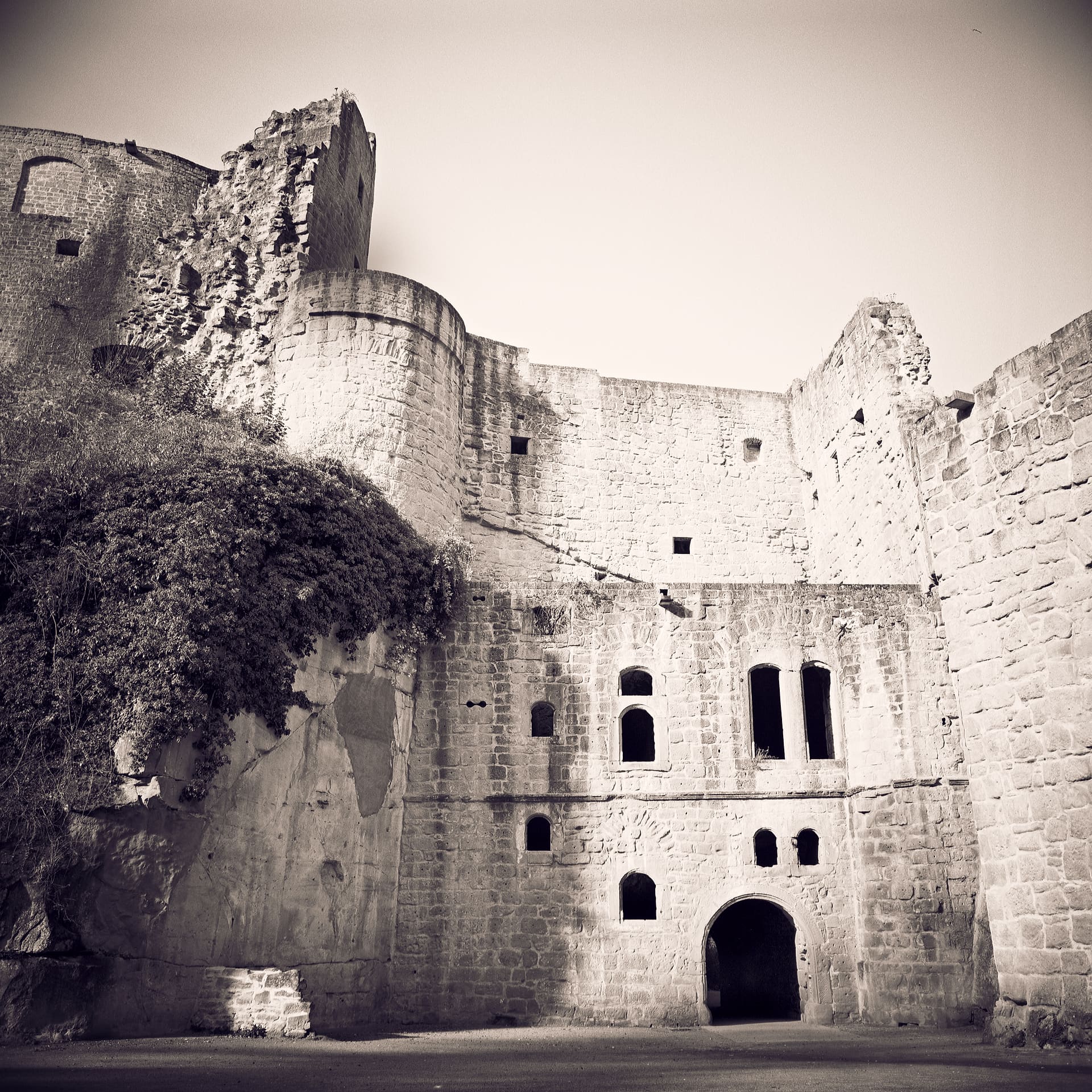 Sunlit sandstone castle keep with arched windows, broken tower above and ivy spilling over a lower wall