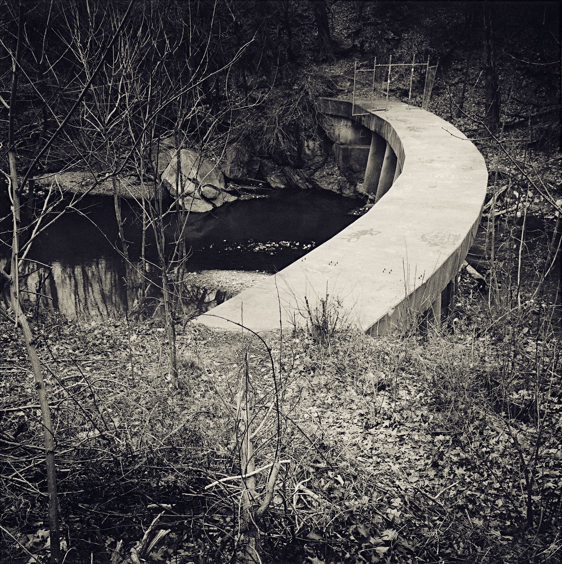Curving concrete footbridge sweeping over a dark stream between bare winter saplings and leaf-covered banks