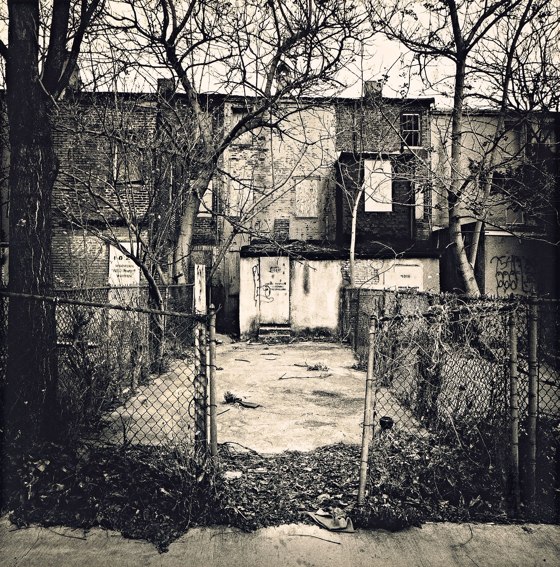 Fenced concrete backyard of abandoned rowhouses, bare trees, boarded windows, graffiti and dead leaves along the kerb