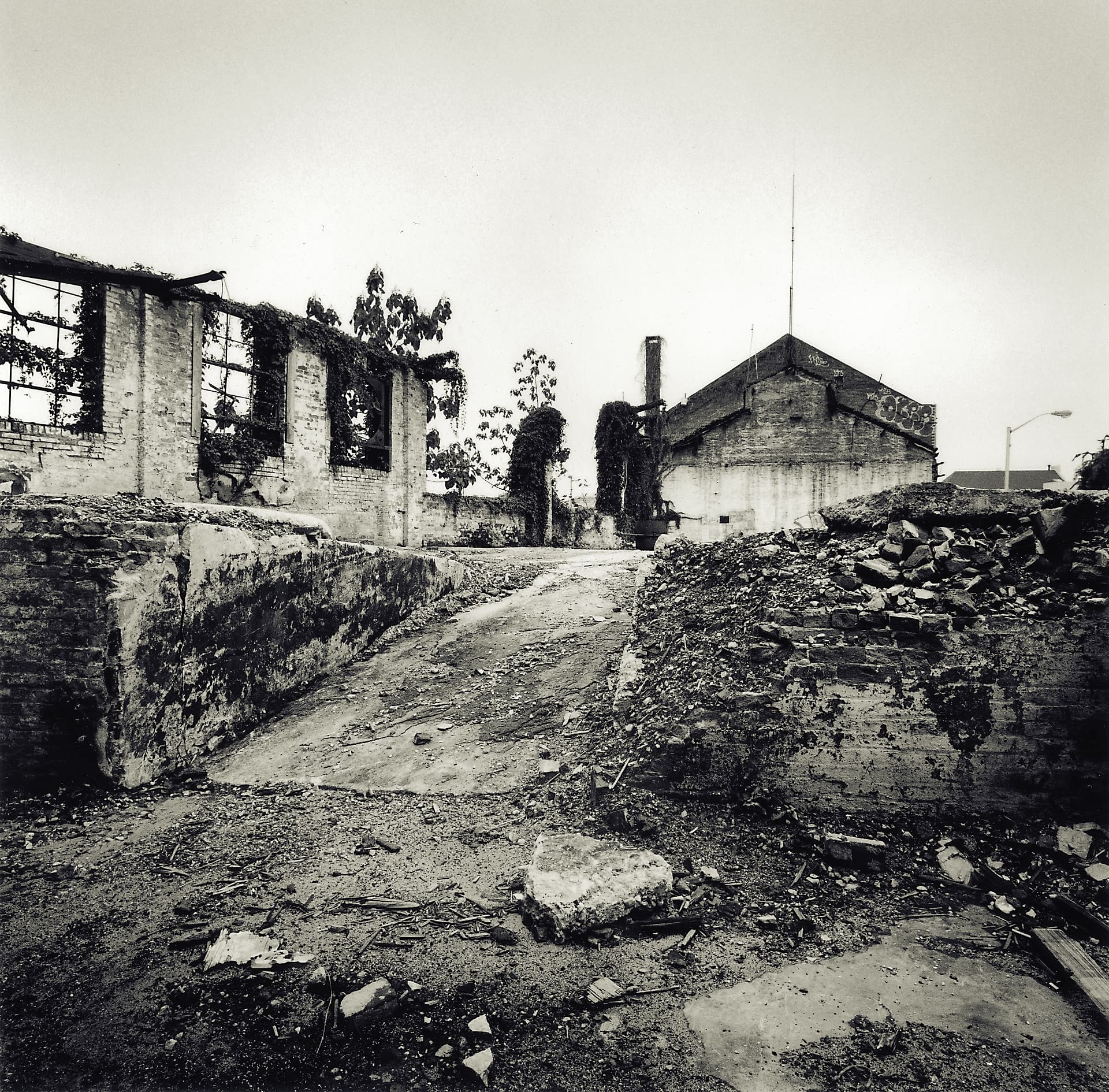 Rubble-filled lot with a dirt ramp between broken concrete walls, roofless ivy-grown factory shell and gabled warehouse beyond