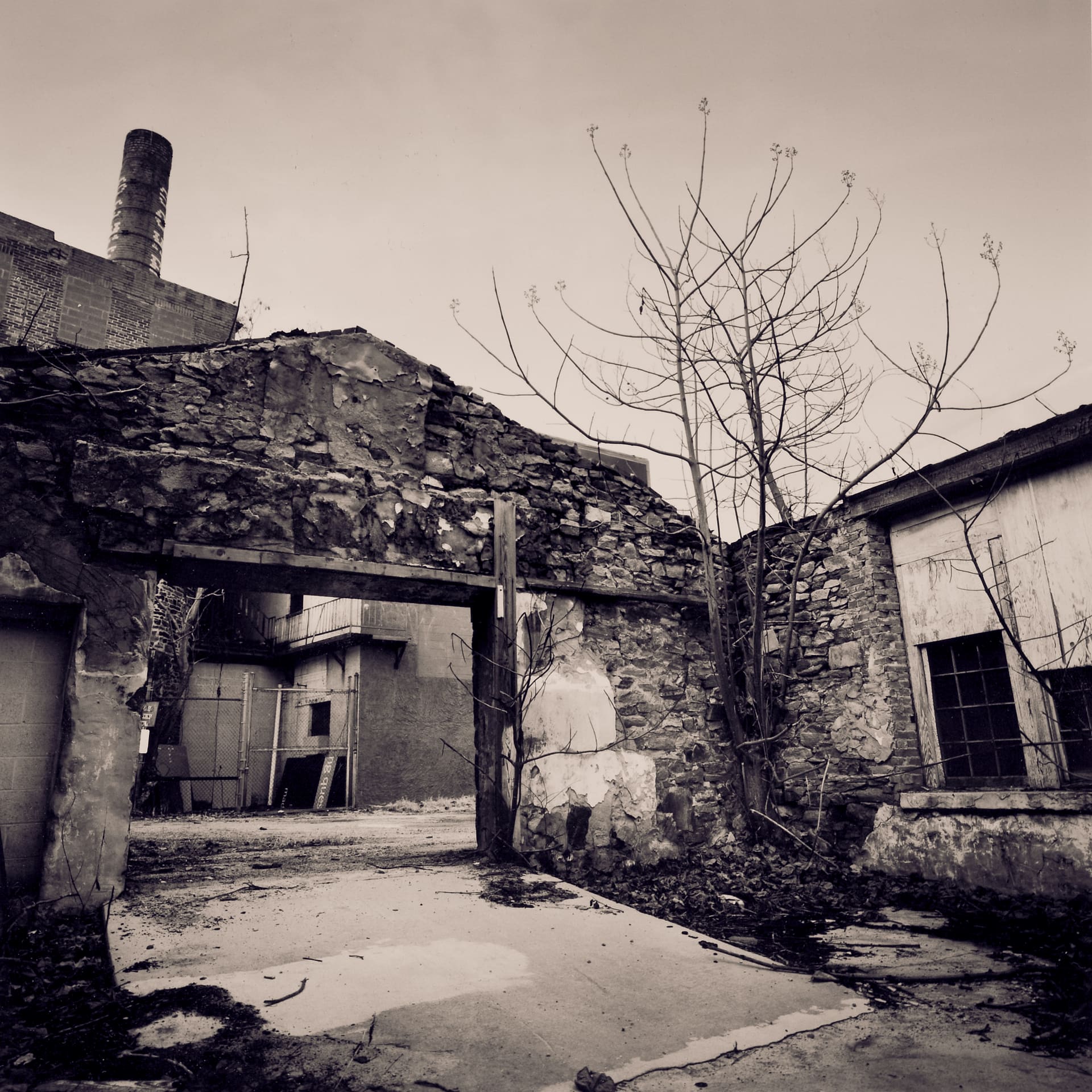 Ruined stone mill walls and doorway with a bare sapling growing through, brick chimney rising behind under blank sky