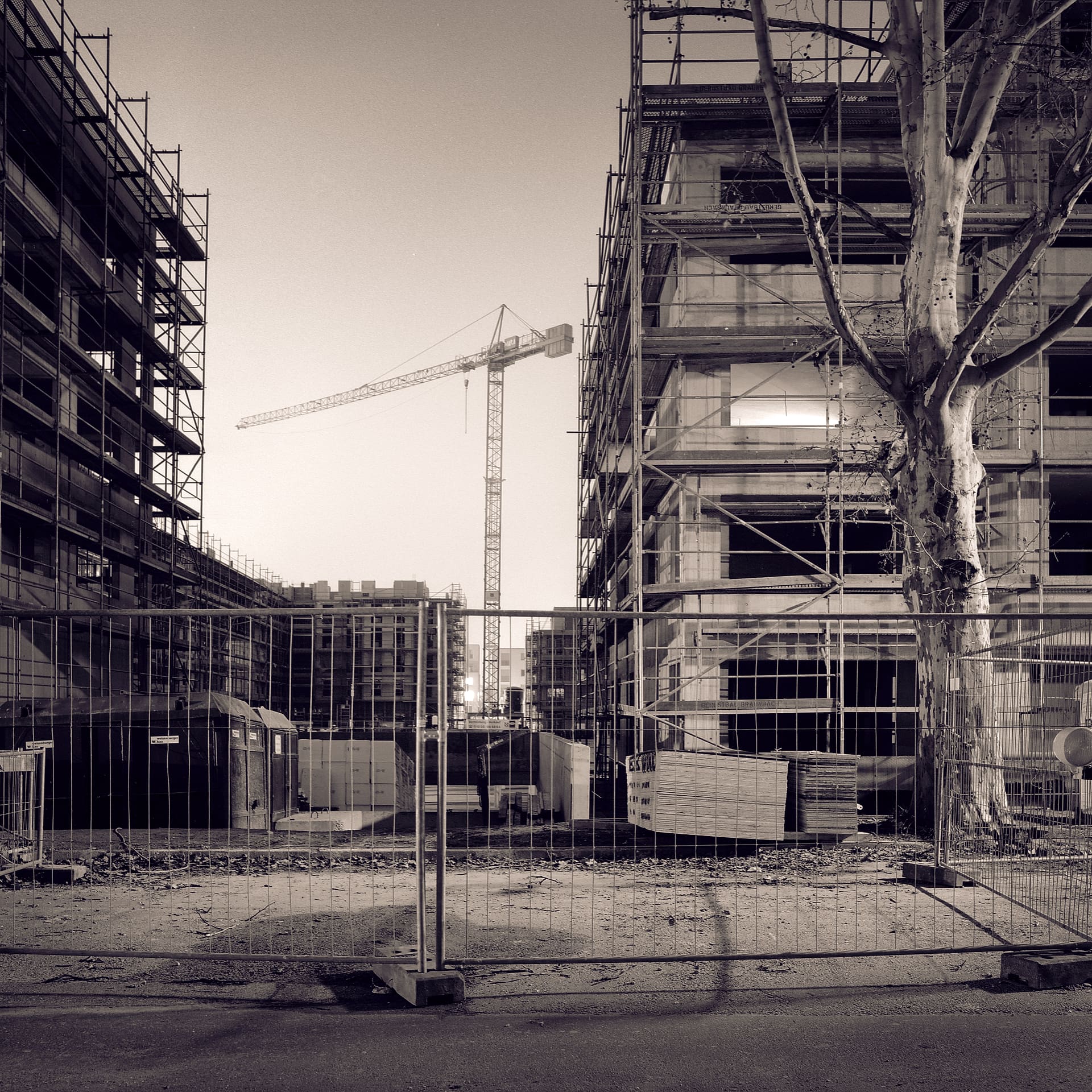 Building site behind mesh fencing at dusk, scaffolded concrete shells, tower crane and a bare plane tree