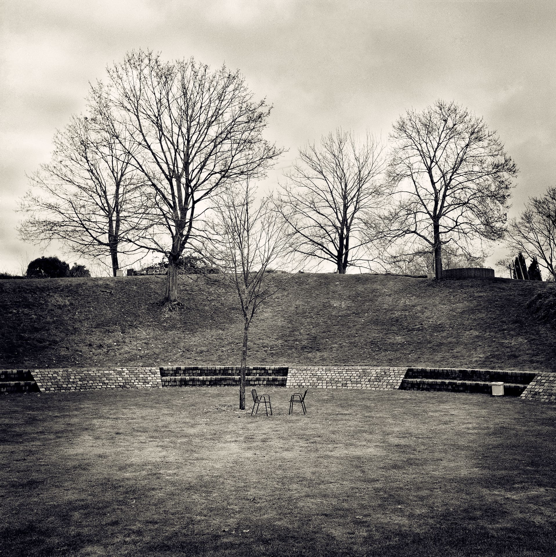 Two metal chairs on grass before a low brick terrace, a sapling and bare trees on the bank above