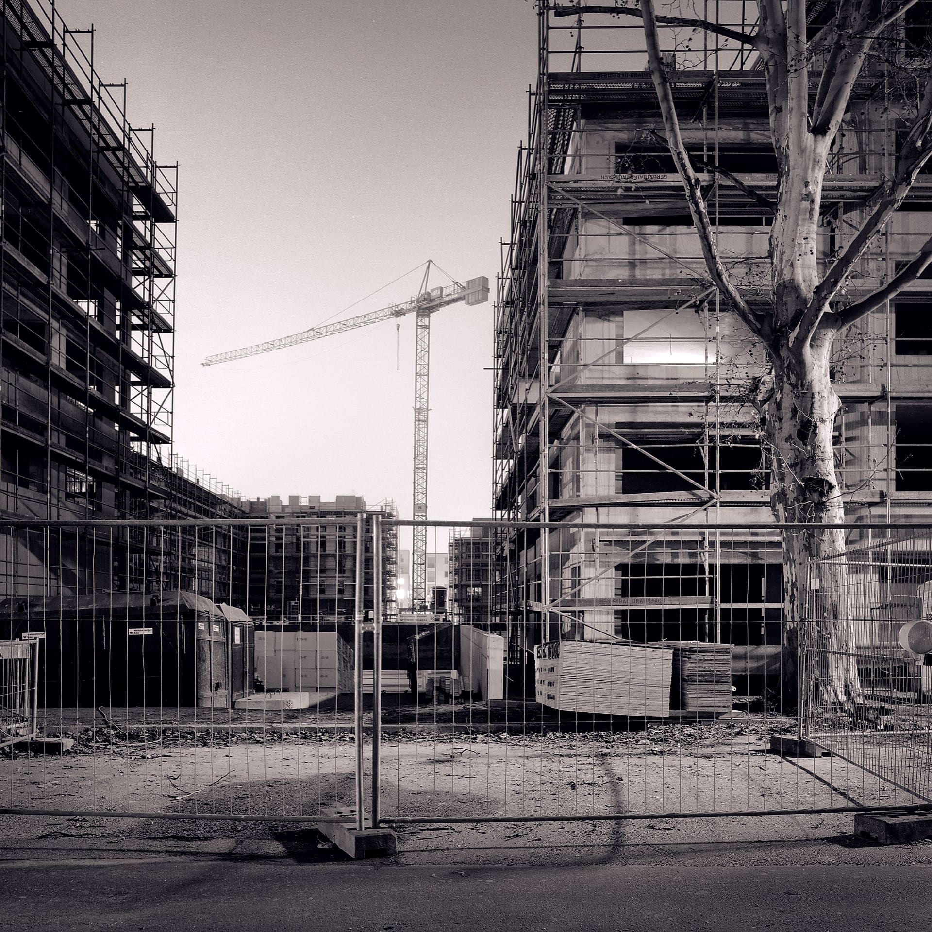 Building site behind mesh fencing at dusk, scaffolded concrete shells, tower crane and a bare plane tree