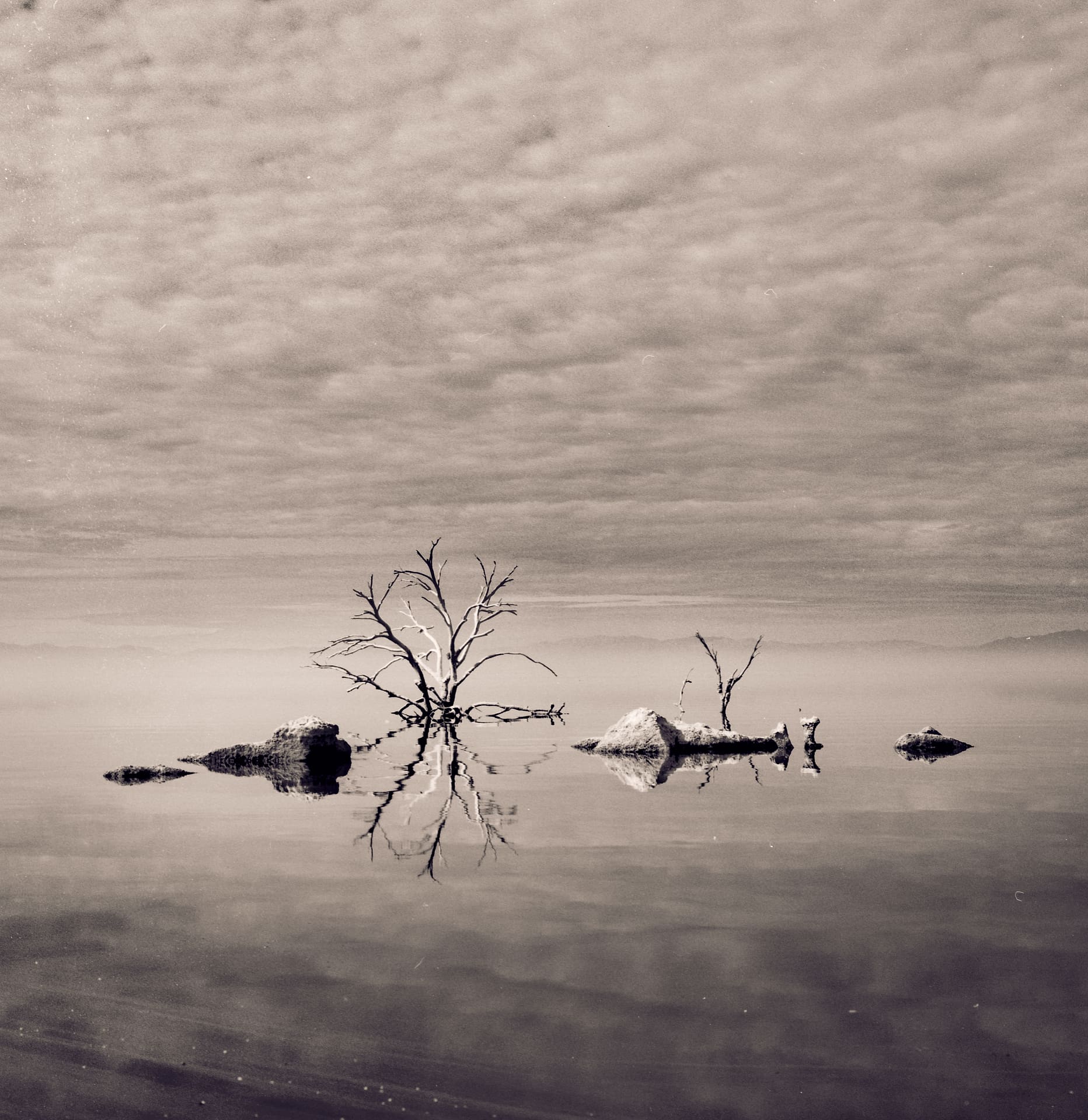 Bare dead tree and salt-crusted mounds mirrored in glassy shallow water beneath a mackerel sky of rippled cloud