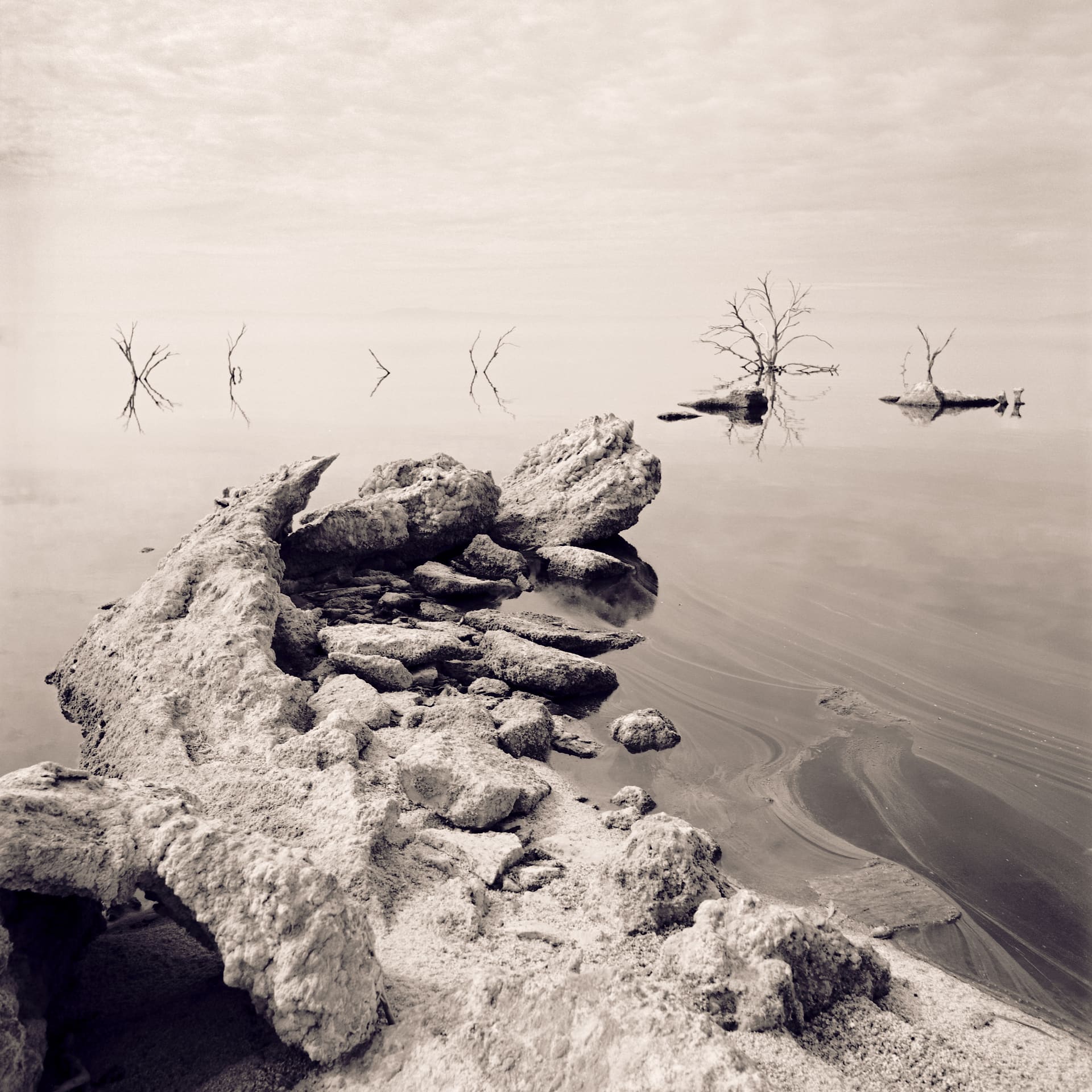 Salt-crusted rocks in the foreground and bare drowned trees reflected in motionless shallow water under pale sky