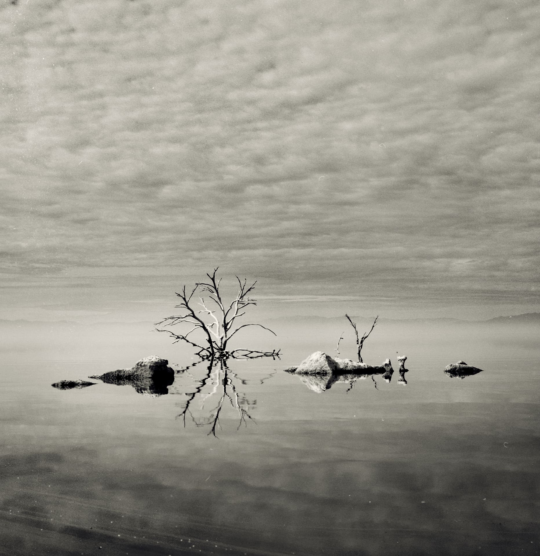 Bare dead tree and salt-crusted mounds mirrored in glassy shallow water beneath a mackerel sky of rippled cloud