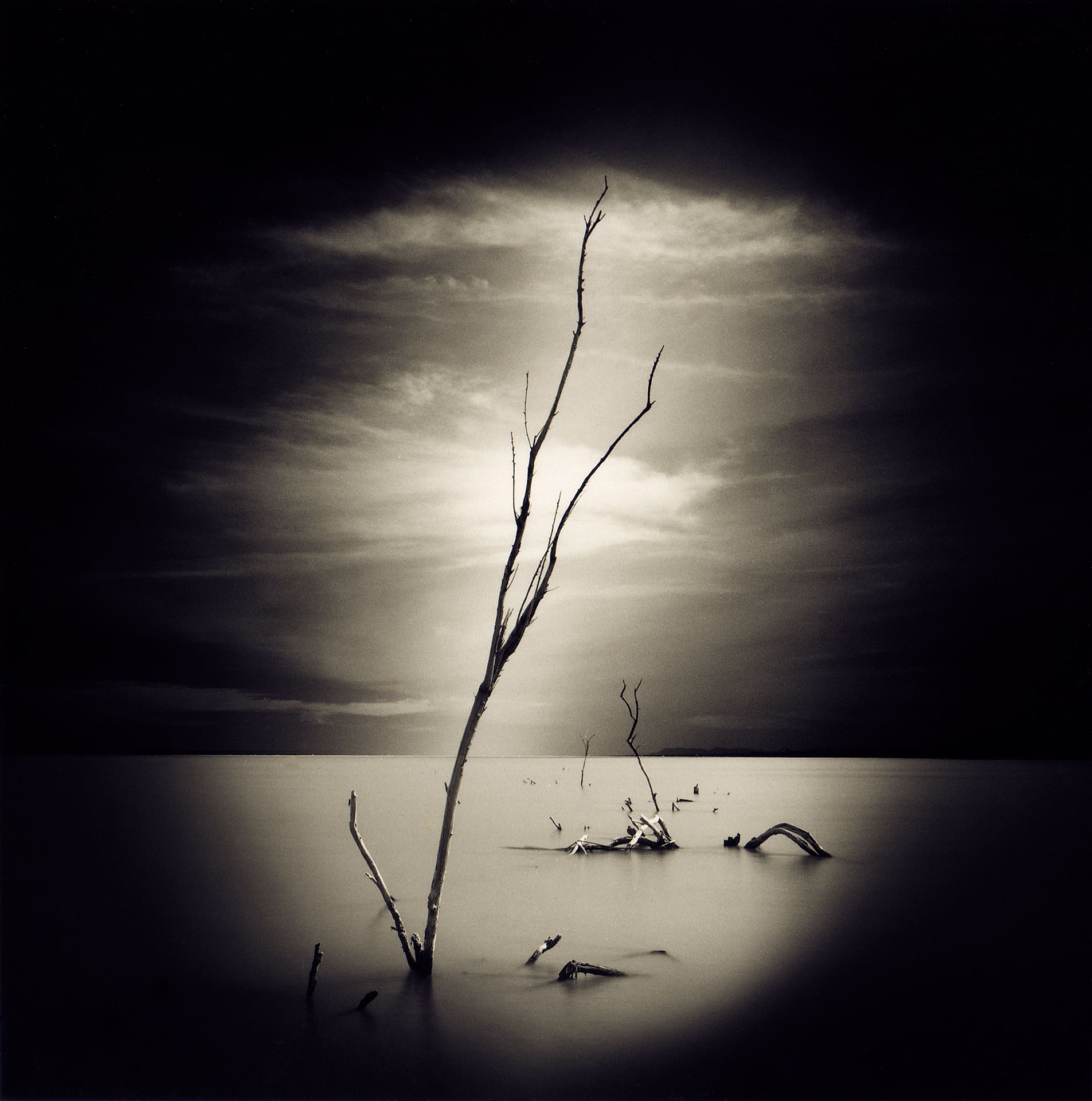 Slender dead sapling rising from smoothed water, break in the cloud glowing behind it, dark vignetted edges