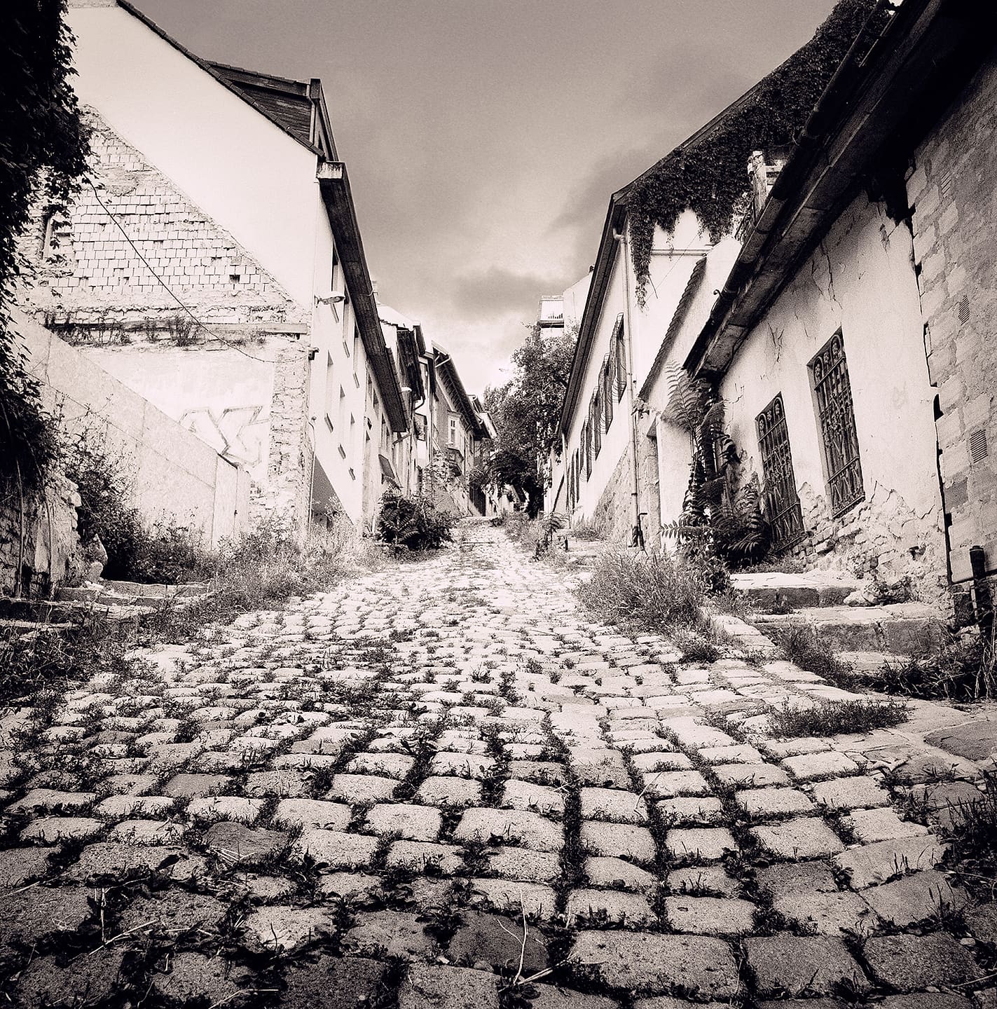 Cobbled lane rising between whitewashed houses with cracked render, weeds sprouting between the stones