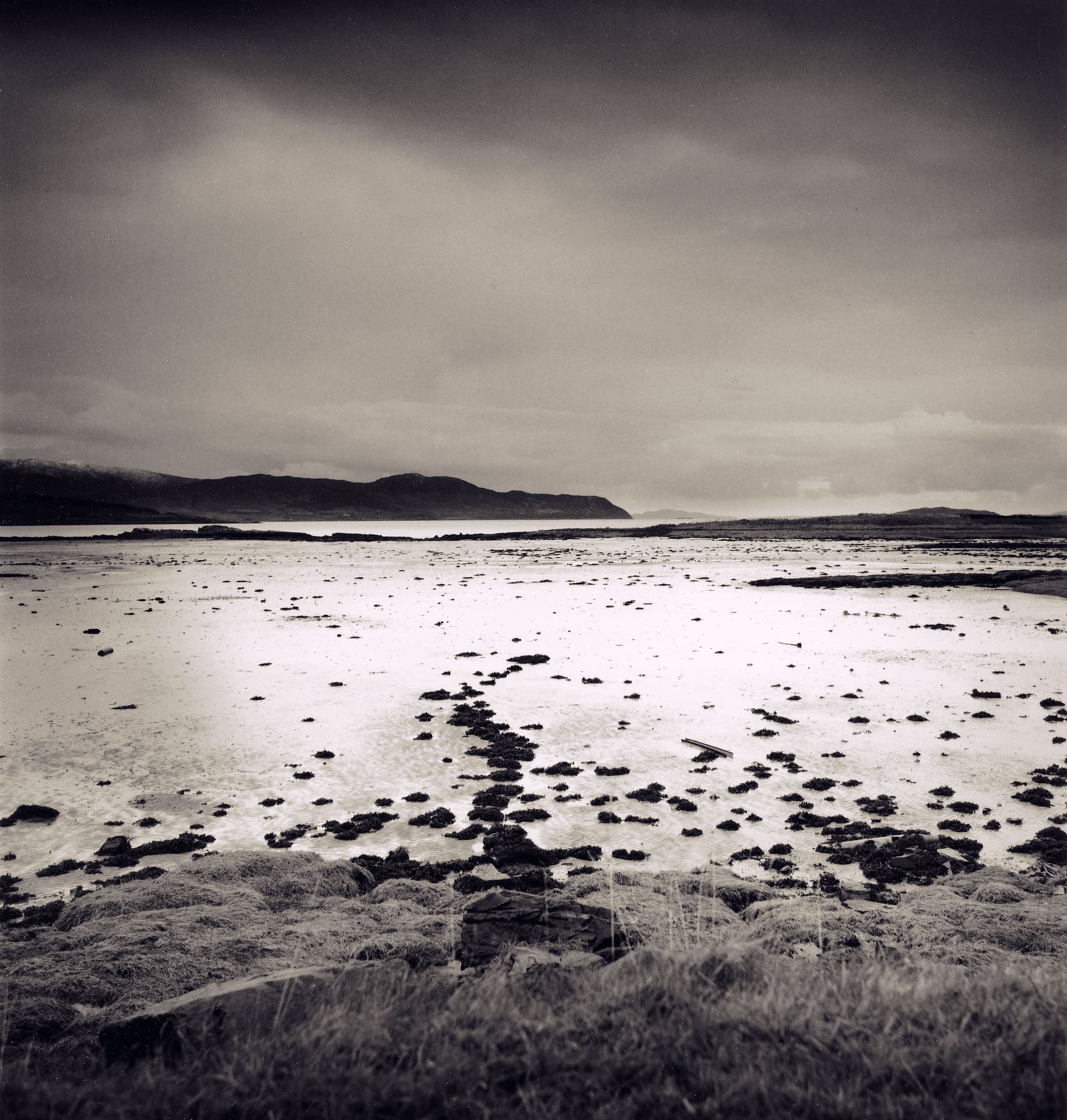 Wet tidal flats scattered with seaweed clumps under a heavy overcast sky, low hills across the water