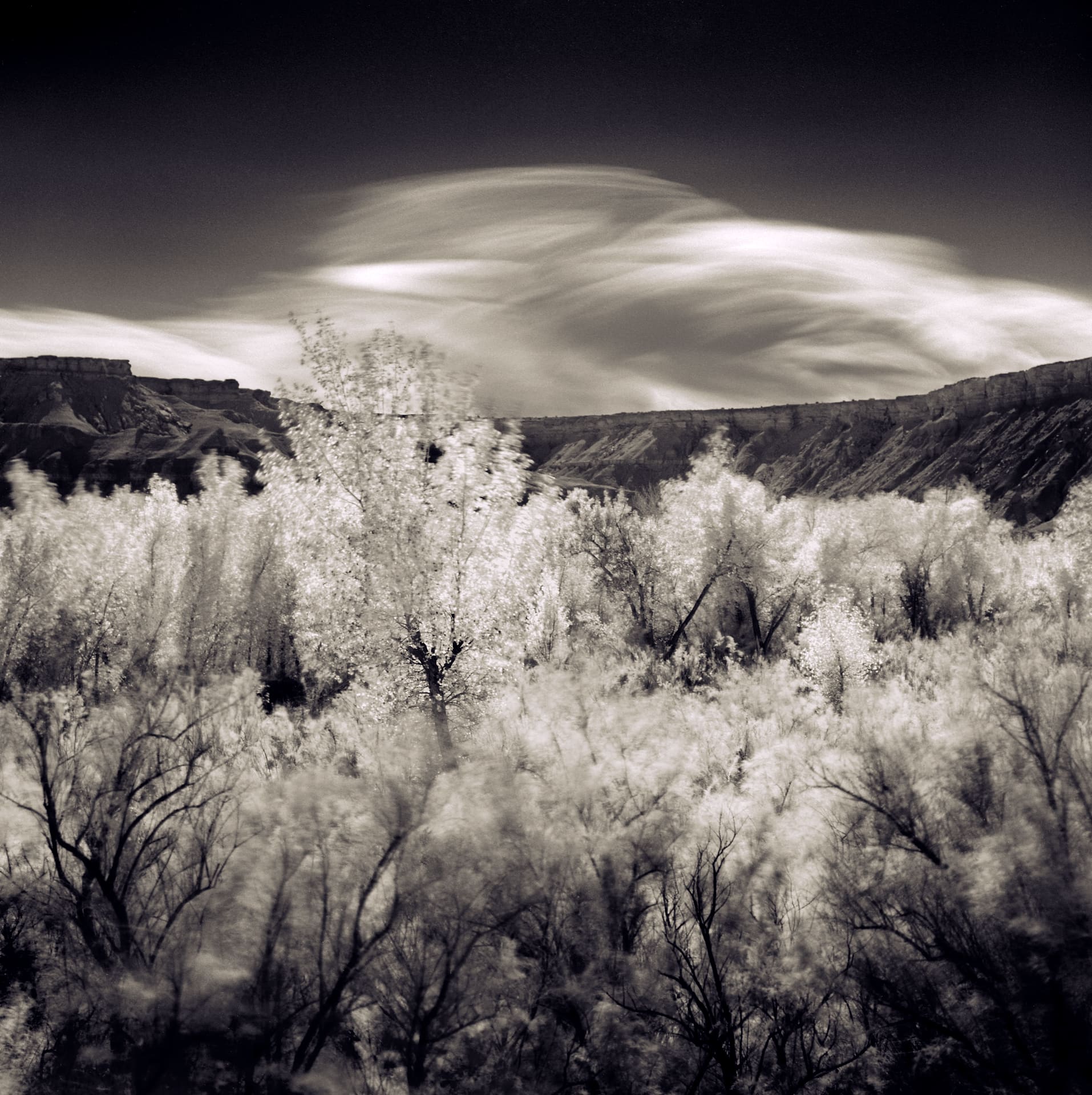 Infrared-white cottonwoods below a sandstone canyon rim, long exposure smearing lenticular cloud across a dark sky